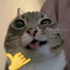/야르